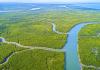 Driving Climate Accountability