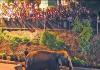 Thousands turn out to welcome ‘Madhuri’ home