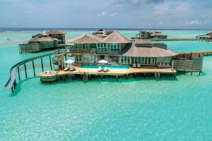 Maldives – Where the Ocean Teaches the Heart to Breathe