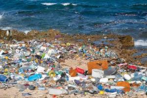 Plastic’s Silent Assault on Marine Life