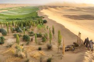 The Greening Of China
