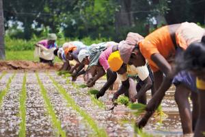 Farming on Borrowed Health