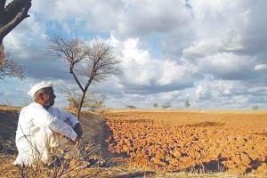 Vidarbha’s Endless Harvest of Debt