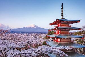 The Soul of Japan Lies in Its Simplicity