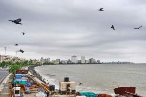 IOD may cushion El Nino’s mega-threat