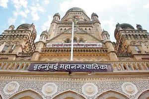 BMC under fire over tree cutting plan