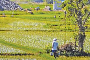 Credit Scores for Farmer Health