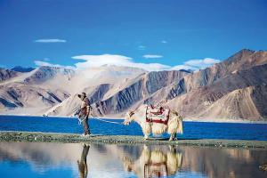 The Land Where Silence Speaks to the Soul