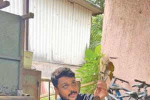 NGO grows mango trees, provides profit to farmers
