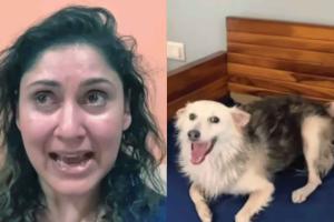 Dog’s murder shakes affluent residents
