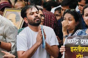 Cockroaches to throng Pune tomorrow