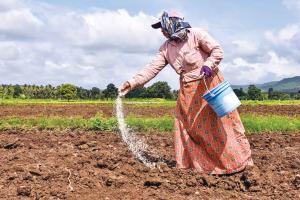 The Hidden Subsidy in Global Agriculture