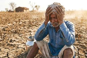 A decade and a half of farm loan waivers in Maharashtra