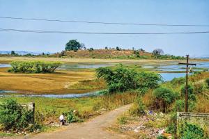 Panje wetland moves closer to legal protection