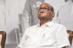 The Pawar Paradox Never Ends