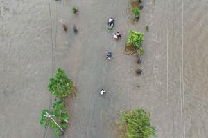 Neutral IOD ‘battles’ a strong El Nino