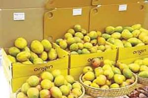 Maharashtra’s Agri Leap into Europe