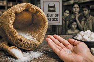 The ‘sweet’ scam behind the sugar price surge