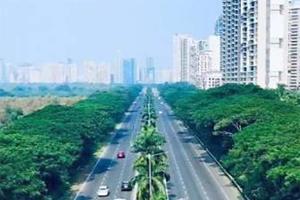 Palm Beach Road may get flyovers