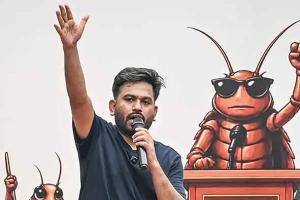 When the Cockroach Enters Politics