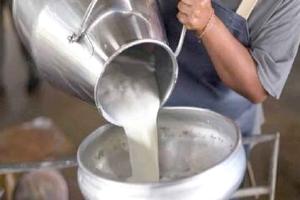 Milk price hike set to squeeze festive budgets