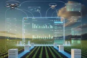 Why India’s Farms Need Smarter AI