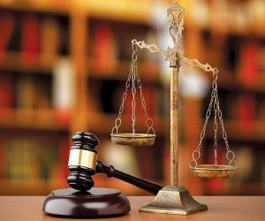 The Art of Justice: Drawn to Solve