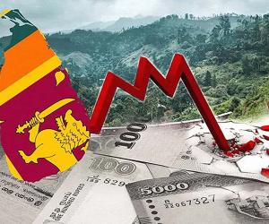 Which funds outperform when interest rates drop?