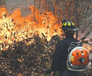Fires in the Fall