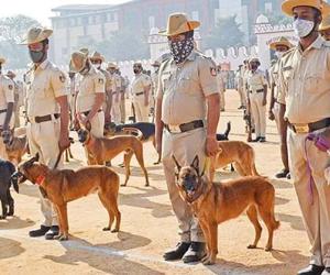 Crime Solving with Trained Canines