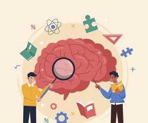 Why Do Researchers Believe COVID Lockdowns Affected Adolescents' Brain Structures?