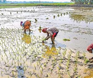 Ploughing for a Better Future