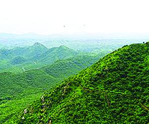 The Vanishing Green: Rethinking Development in India