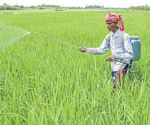 Global Agricultural Trade in the Crosshairs