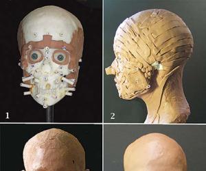 Forensic Facial Reconstruction: Bridging Science and Identity