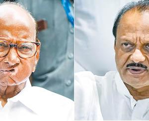 NCP’s festival card to attract voters