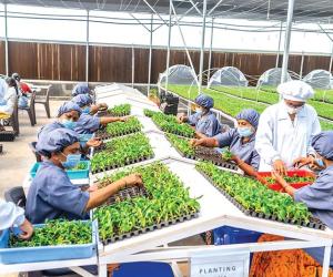 How Farmers Built a Rs 2,000 Crore Global Enterprise