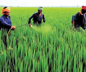 It’s Time to Change the Direction of Agricultural Research