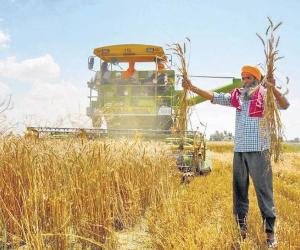 Punjab’s Unbroken Spine