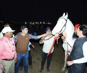 Malegaon Yatra: A Grand Confluence of Devotion, Culture and Commerce