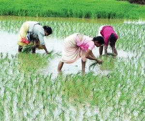 A New Momentum to the Agricultural Sector