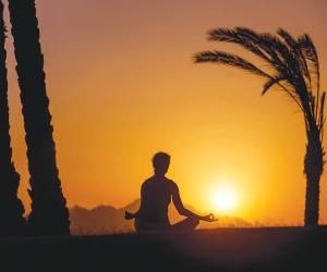 Healing the Mind Beyond Medicine