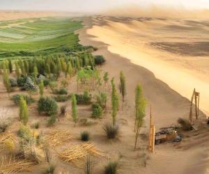 The Greening Of China