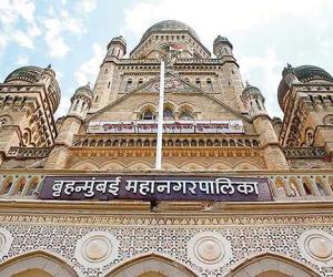 BMC under fire over tree cutting plan
