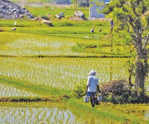 Credit Scores for Farmer Health