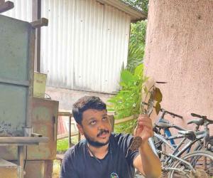 NGO grows mango trees, provides profit to farmers