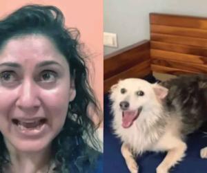 Dog’s murder shakes affluent residents
