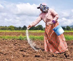The Hidden Subsidy in Global Agriculture