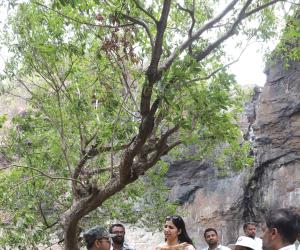 How a collector’s field visit pushes ideas