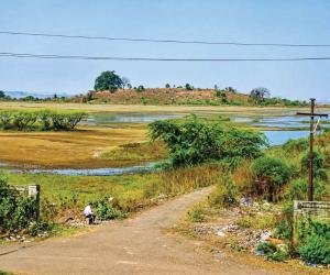 Panje wetland moves closer to legal protection